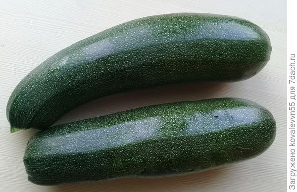 Первые кабачки Генерал