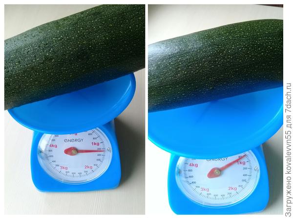 Вес кабачков цуккини Генерал