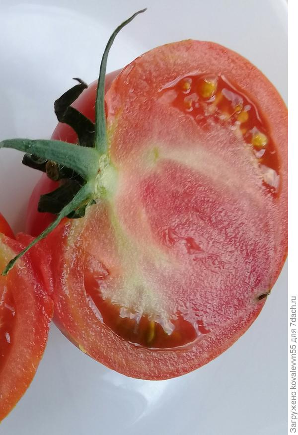 Томат 100% в разрезе