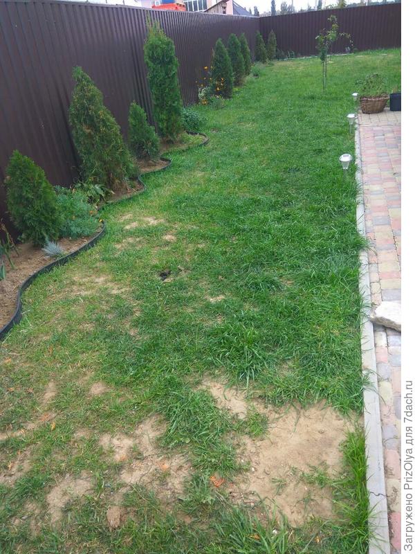 С этого ракурса хотелось бы закрыть обзорность участка, чтоб было как то интересней