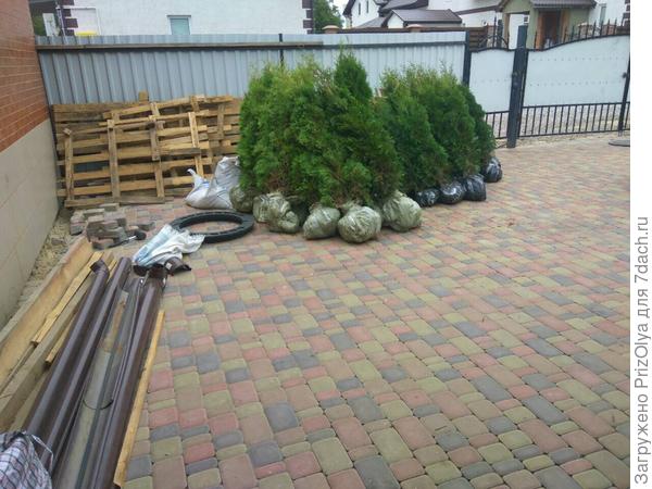 На месте поддонов скорее всего будет дровник