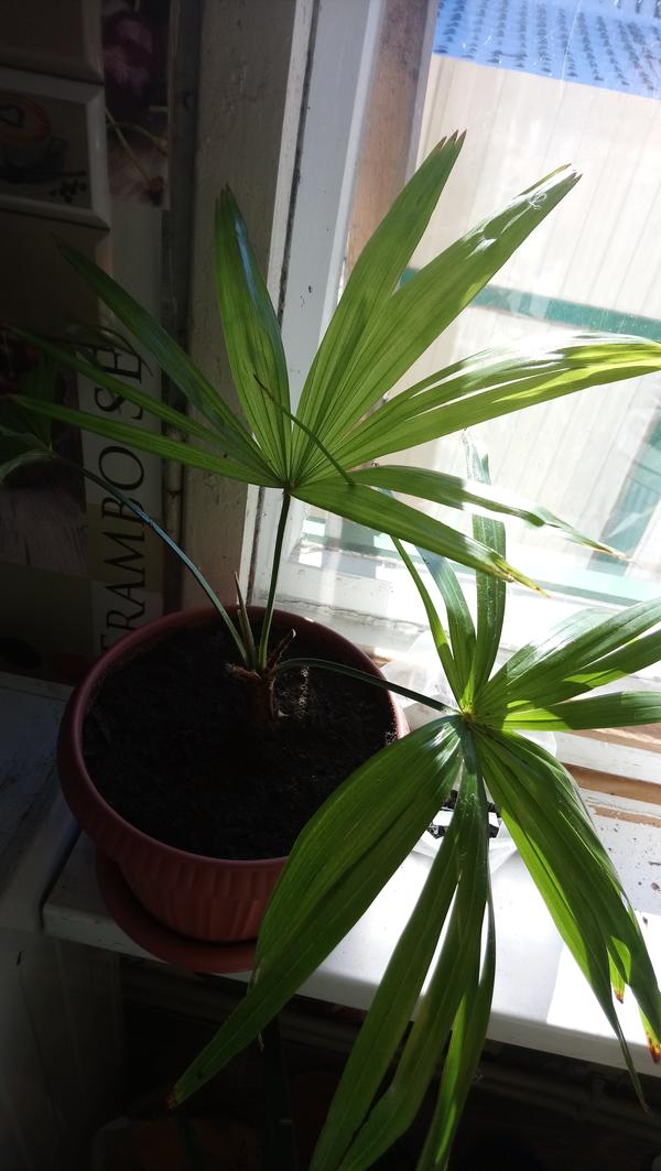 Фото 4