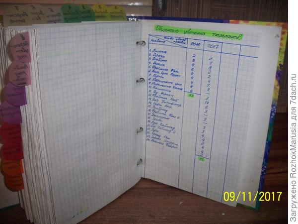 А зимой, когда много свободного времени, рисую всякие сводные таблицы, потому что мне это интересно!