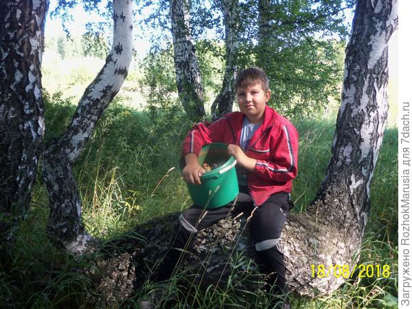 кпкупк