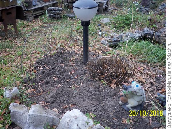 А ранней весной и поздней осенью это пространство пустует.