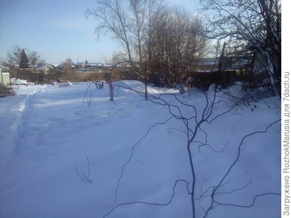 Огород, укрытый снегом
