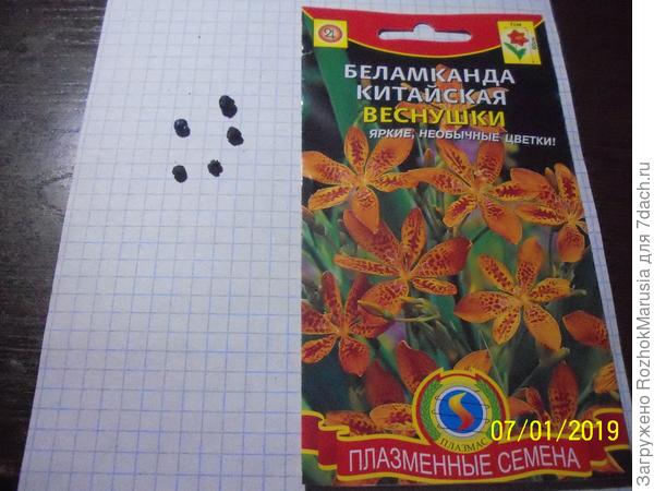 Семена