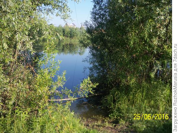 Маленькая речка Чаус