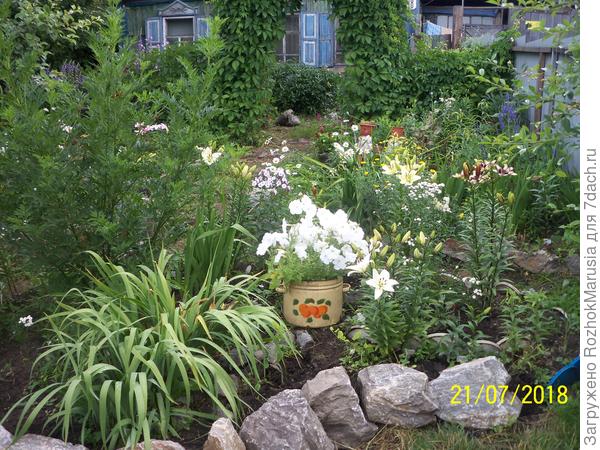 Делаю ограждения цветникам из камней, меняю на камушки все подпорки, которые были до этого