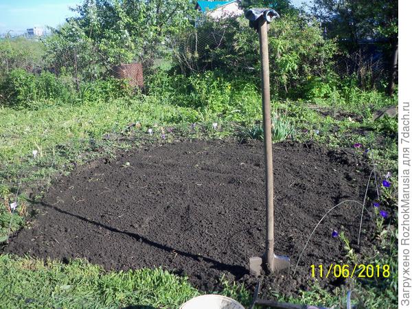 Вскопала центр клумбы под газон