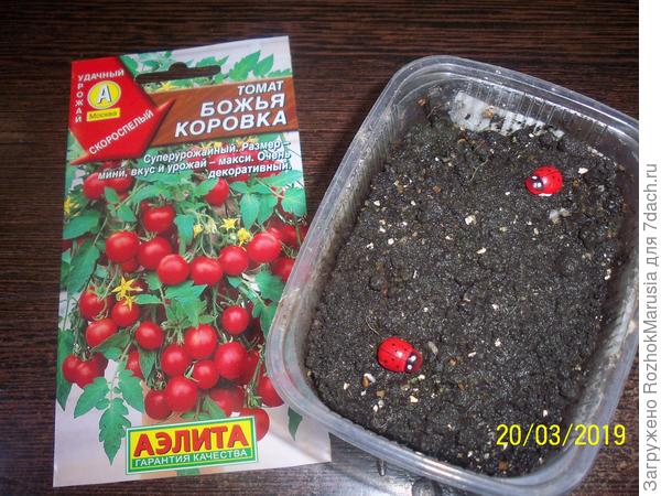 оооо