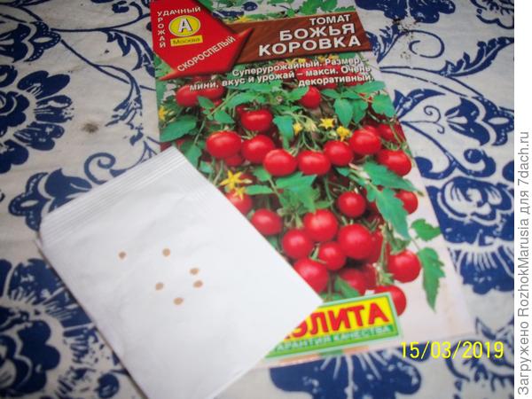 цуауца