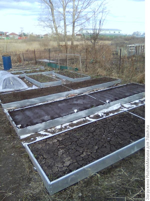 Так грядки выглядят ранней весной, а летних фото не оказалось