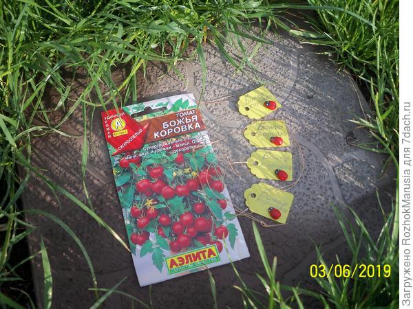 куке