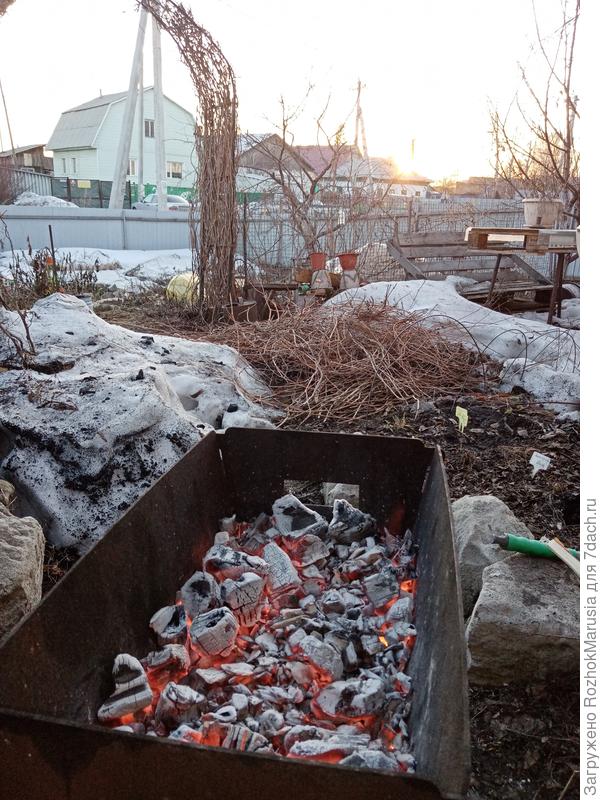 Развели мангальчик