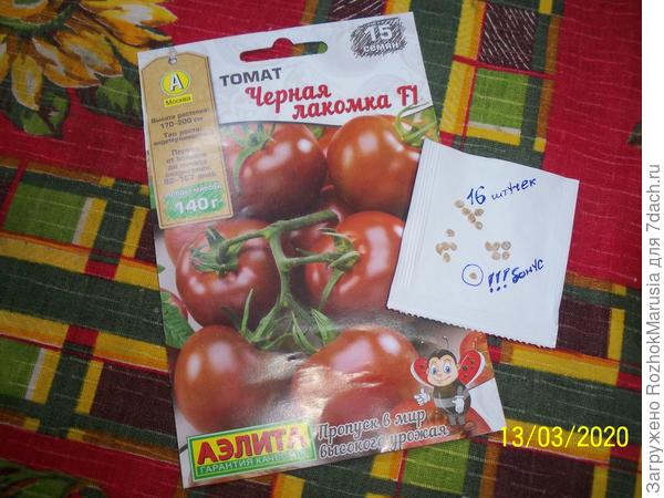 вавва