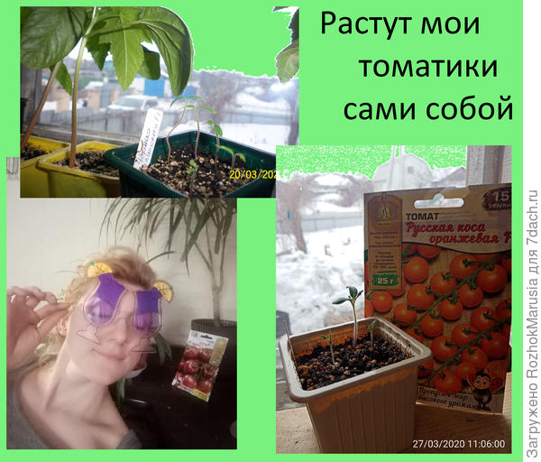 вапкп