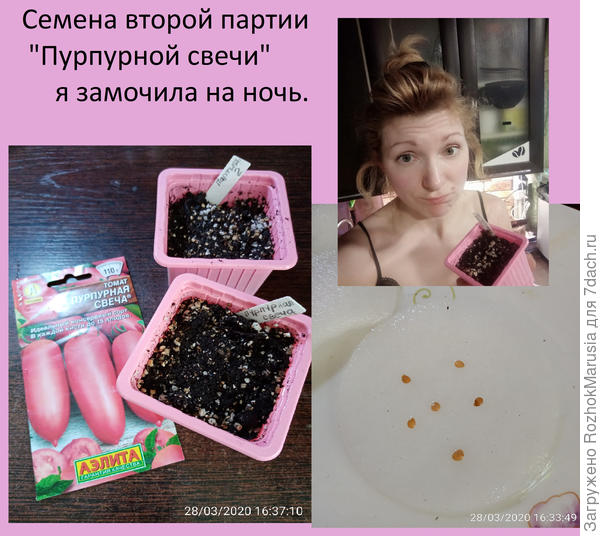 пвп