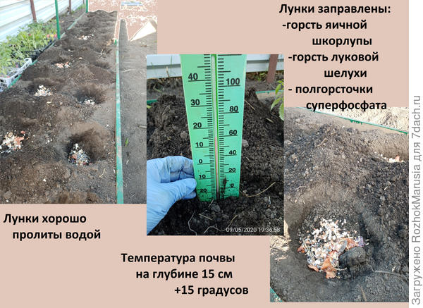вуц