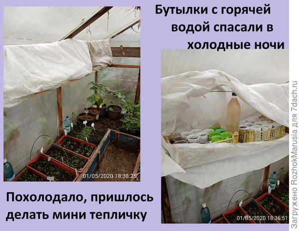 вац