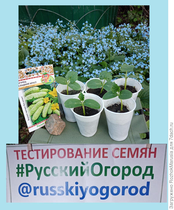 мваы