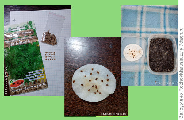 укаука