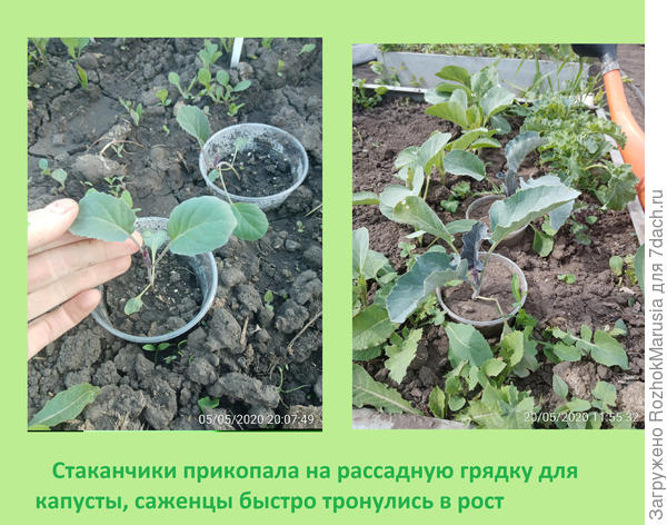 апвап