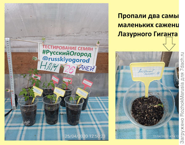 ываыв