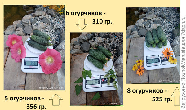 уку