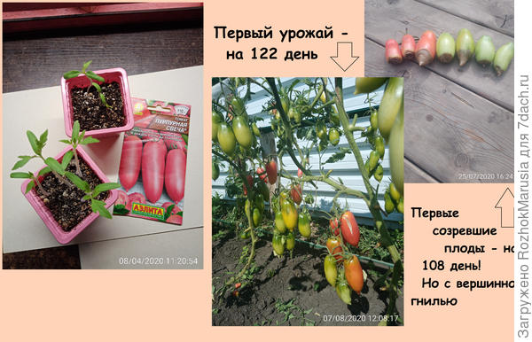 рпрп