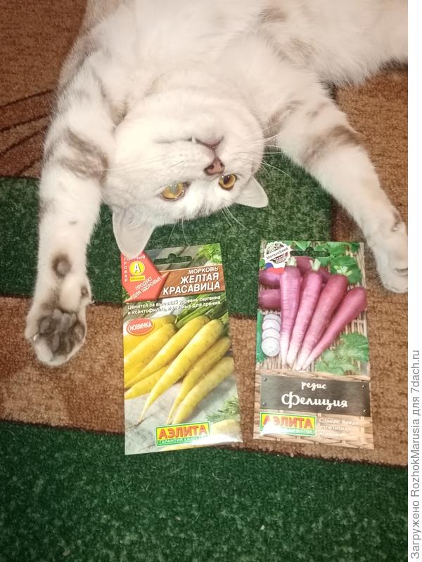 "Шуршали" вместе со мной