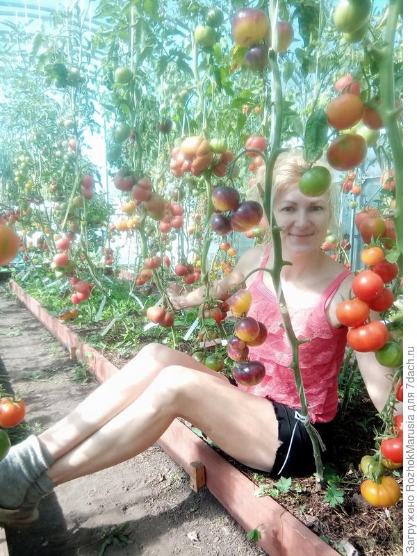 ккаук