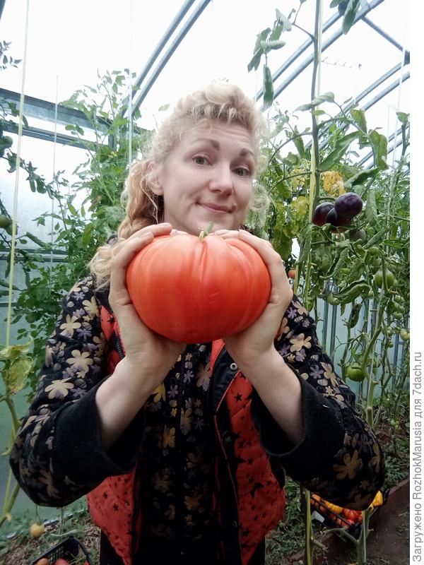 Рим - любимчик!