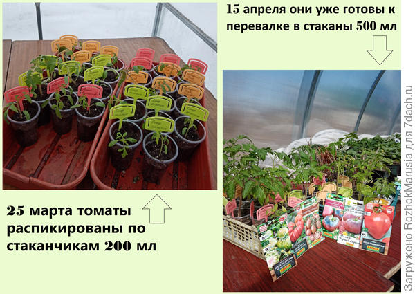 апнпра