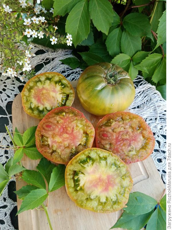 Бурый Медведь