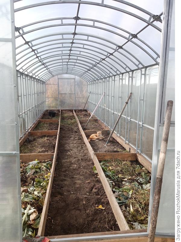 Грядки в новой теплице сколотили, вкусняшками для растений наполнили
