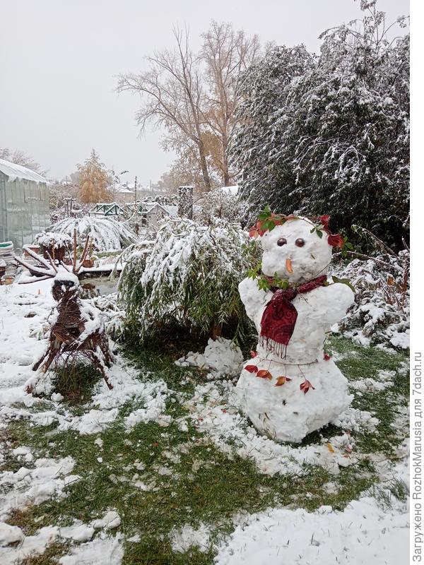 В сентябре уже слепили первого снеговика)))
