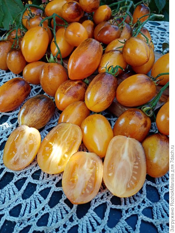 Атомный закат