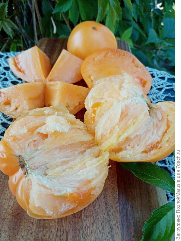 Минусинское бычье сердце жёлтое