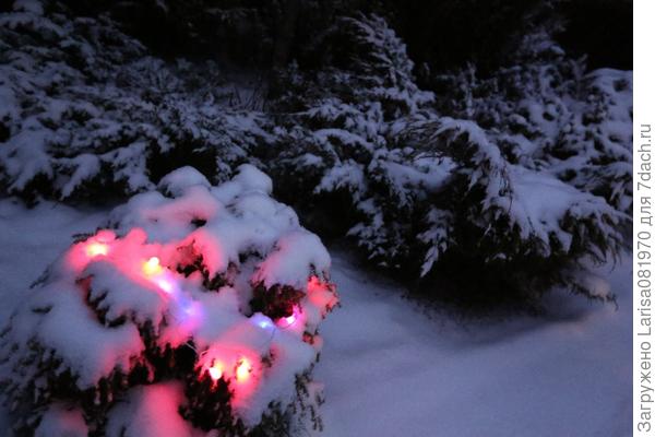 Снежное покрывало