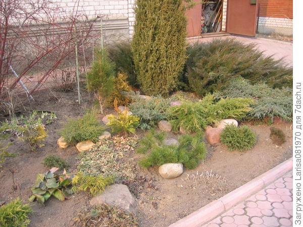 Разница в 10 лет, большая часть уже пересажена.