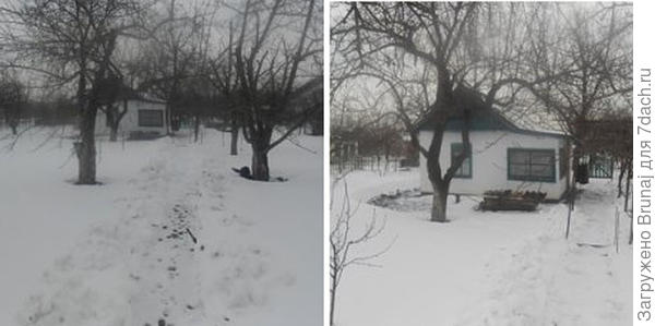 Зима 2014 уже моя, но фотографировала предыдущая хозяйка себе на память (с фото та же беда).