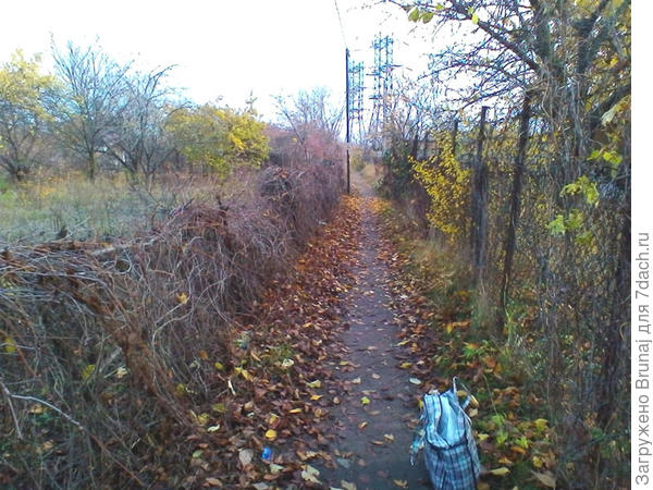 в сумке ОН...