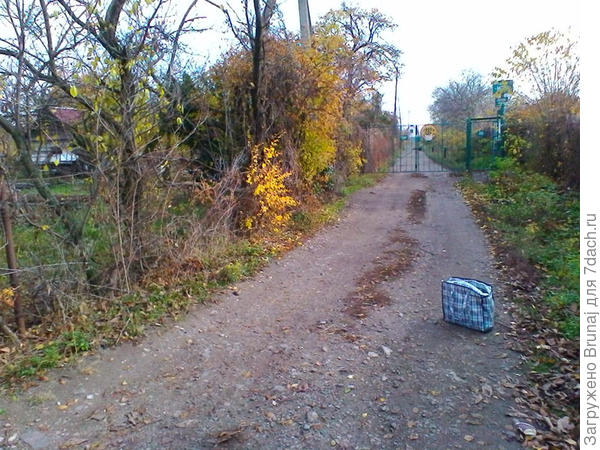 вход в наше СТ "МОПР"...