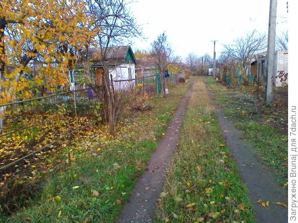 дошли...
