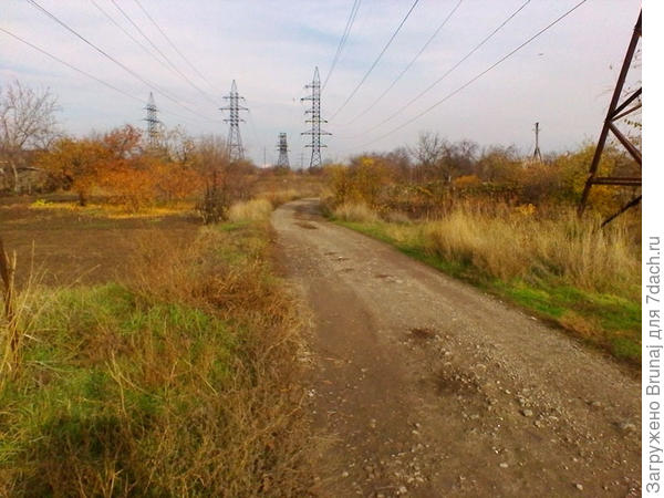 не дотащила, уж больно вид хорош...