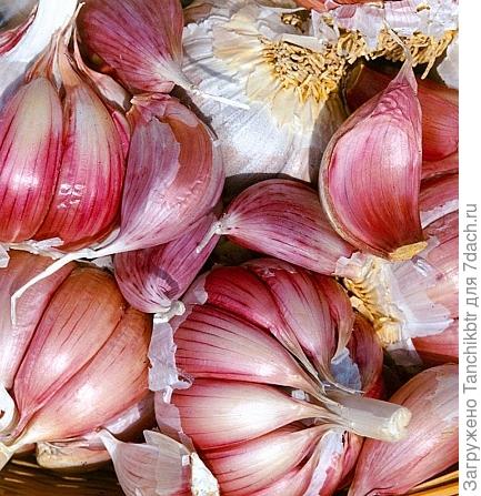 Петровский