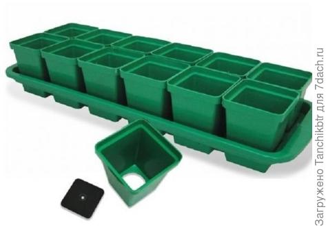 горшки для рассады