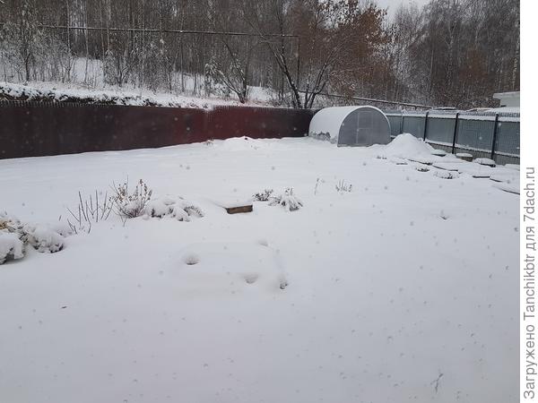 А под утро всех ждал "сюрприз"