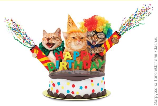 Гулять, так гулять!